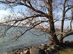 Us; North end of Canandaigua Lake
