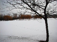 winter snow