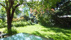 the backyard of our house on West Avenue