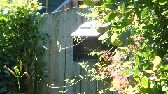 bird feeder in the backyard of our house on West Avenue
