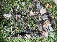 Odd trinket collection; Canandaigua, NY; ODW