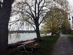 Our Daily Walk- Canandaigua Lake; ODW