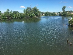 Daily Walk; ODW