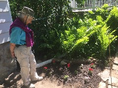 Daily Walk; Ruth Bennett McDougal Dorrough;
