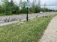 Our Daily Walk; ODW