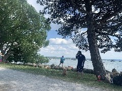 Our Daily Walk; ODW