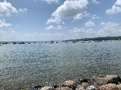 Our Daily Walk; Canandaigua Lake, NY; ODW