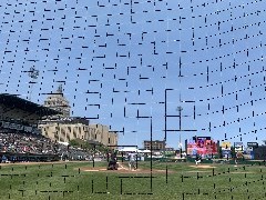 Us; Redwings Baseball Game