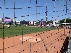 Us; Redwings Baseball Game