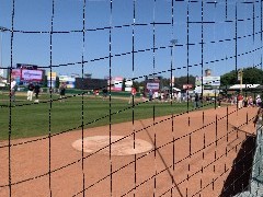 Us; Redwings Baseball Game