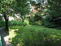 Home; our back yard