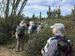 Ruth Bennett McDougal Dorrough; Pass Mountain Trail Superstition Mountains AZ