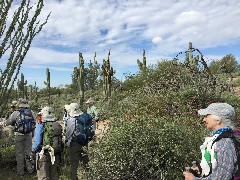 Ruth Bennett McDougal Dorrough; Pass Mountain Trail Superstition Mountains AZ