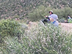 Ruth Bennett McDougal Dorrough; Superstition Mountains