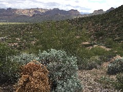 Pass Mountain Trail Superstition Mountains AZ