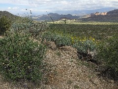 Pass Mountain Trail Superstition Mountains AZ