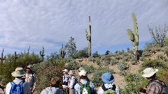 Michael Young; Pass Mountain Trail Superstition Mountains AZ