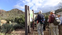 Roy Tellini; Sonoran Desert - Peralta Cave Loop Trail, AZ