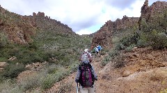 Ruth Bennett McDougal Dorrough; Sonoran Desert - Peralta Cave Loop Trail, AZ