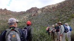 Jean Hoekwater; Roy Tellini; Michael Young; Sonoran Desert - Peralta Cave Loop Trail, AZ