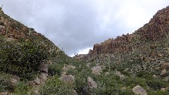 Sonoran Desert - Peralta Cave Loop Trail, AZ