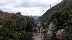 Sonoran Desert - Peralta Cave Loop Trail, AZ