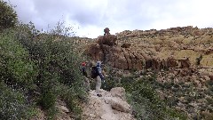 John Graham; Ruth Bennett McDougal Dorrough; Arizona; Sonoran Desert - Peralta Cave Loop Trail