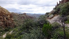 Sonoran Desert - Peralta Cave Loop Trail, AZ