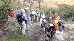 Carol Sayle; Ruth Bennett McDougal Dorrough; Sonoran Desert - Peralta Cave Loop Trail, AZ