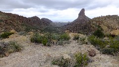 Sonoran Desert - Peralta Cave Loop Trail, AZ