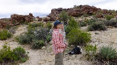 Jean Hoekwater; Sonoran Desert - Peralta Cave Loop Trail, AZ