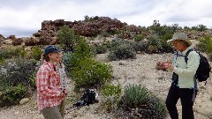 Jean Hoekwater; Barb Nickerson; Sonoran Desert - Peralta Cave Loop Trail, AZ