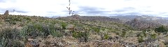 Sonoran Desert - Peralta Cave Loop Trail, AZ