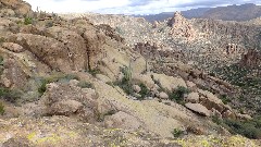 Sonoran Desert - Peralta Cave Loop Trail, AZ