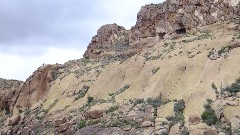 Sonoran Desert - Peralta Cave Loop Trail, AZ