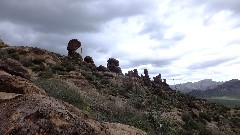 Sonoran Desert - Peralta Cave Loop Trail, AZ