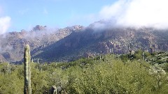 Hieroglyphic Trail, AZ