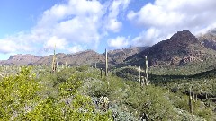 Hieroglyphic Trail, AZ