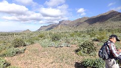 Peter Golion; Hieroglyphic Trail, AZ