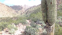 Hieroglyphic Trail, AZ