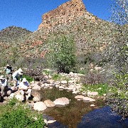 First Water Trail - Canyon Lake, AZ