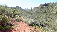 canyon; First Water Trail, AZ