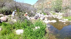 Ute Tellini; First Water Trail - Canyon Lake, AZ