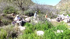 First Water Trail - Canyon Lake, AZ