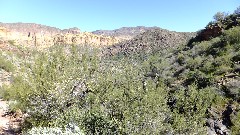 Canyon Lake Trail, AZ