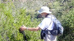 Peter Golion; Canyon Lake Trail, AZ