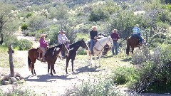 horses; Canyon Lake Trail, AZ