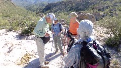 Roy Tellini; Carol Sayle; Ute Tellini; Ruth Bennett McDougal Dorrough; Canyon Lake Trail, AZ