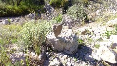 balancing rock; Canyon Lake Trail, AZ