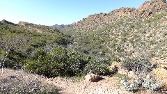 Canyon Lake Trail, AZ